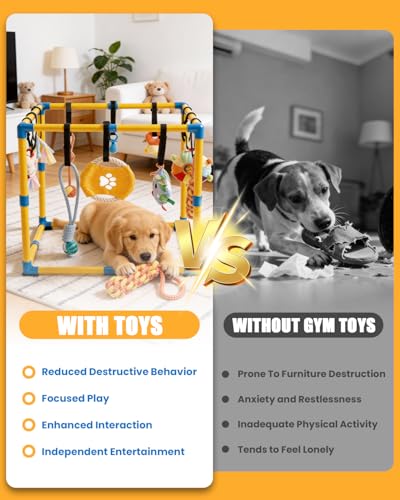 Indoor Puppy Play Gym, Dog Jungle Gym for Small Dogs, 23.6"x 23.6" - size: 23.6 x 23.6 x 23.6inch