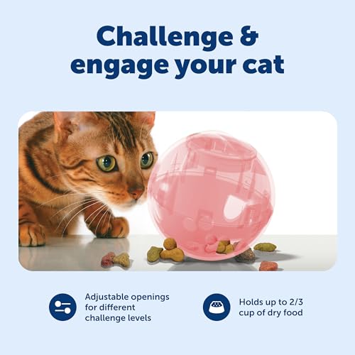 PetSafe Slimcat Feeder Ball Cat Toy, Pink, 1 Count (Pack of 6) - color: Pink, size: 1 Count (Pack of 6)