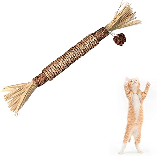 Silvervine Sticks Cat Chew Toys for Indoor Cats Dental Care Teeth Cleaning, Natural Kitten & Cat Teething Toys for Health, Cat Chew Stick Treat Edible Suitable for All Breeds of Aggressive Chewers Cat - size: 1PCS