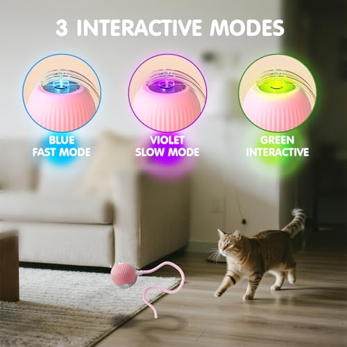 Rocfish Durable Interactive Cat Toys for Indoor Cats (Pink, 01) - color: pink01, size: 01