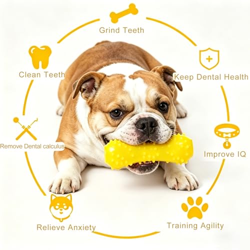 Dog Toys for French Bulldogs, Interactive Squeaky Dog Chew Toys for Aggressive Chewers, Natural Rubber Dental Teething Toys for Small to Medium Dogs, Yellow
