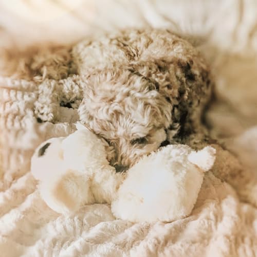 Snuggle Puppy Heartbeat Toy, Calming Comfort, Medium Breeds - Cream - color: Golden
