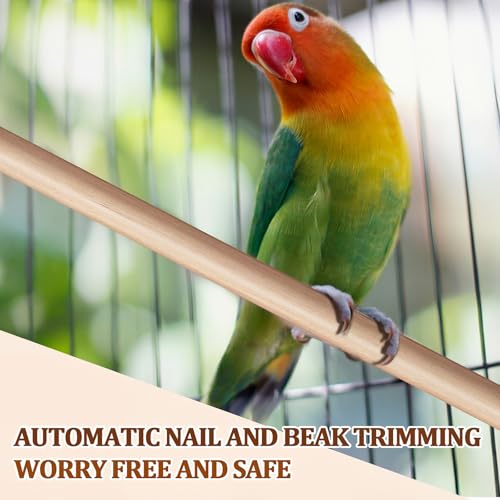 Sintuff Bird Perches Natural Wood Double Slots, 15 Inches, 8 Pcs - size: 15 Inches