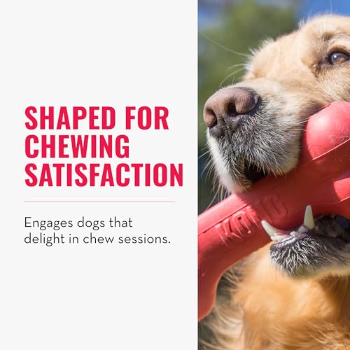 KONG Goodie Bone - Classic Durable Natural Rubber Dog Bone, Supports Mental Engagement - Treat Dispensing - Red - for Medium Dogs (Pack of 2) - size: Medium (Pack of 2)