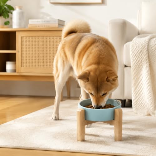 Elevated Ceramic Slow Feeder Dog Bowls Anti-Choking Slow Feeding for Small&Medium Size Anti-Slip Non-Lead & Toxic Durable Easy to Clean Maze Slow Feeder Bowl（8.26in Mint Blue Stars Pattern） - color: Mint Blue Stars Pattern, size: 1.6Cup