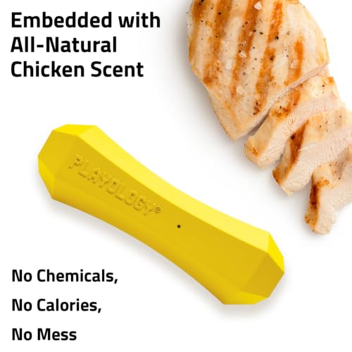 Playology Squeaky Chew Stick - Scented Dog Toy - Medium, Chicken Scent, 2pk - size: Medium (VALUE 2-Pack), style: Chicken