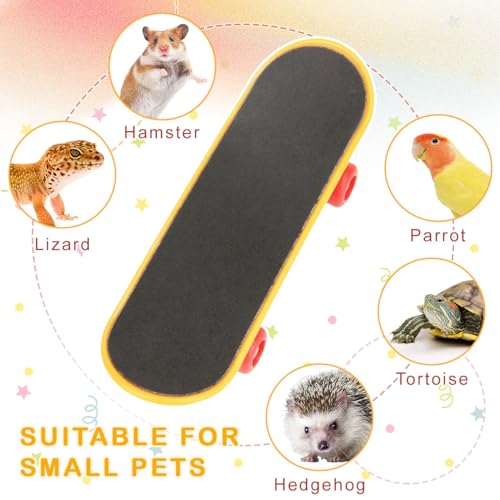 Bearded Dragon Skateboard Toys Bird Parrot Intelligence Toys Turtle Fast Skateboard Accessories Fun pet Turtle Play and Training Toy mini Walking Skateboard Parrot Reptile Skateboard (Large)