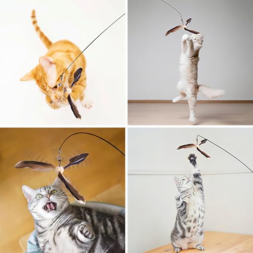 9PCS Interactive Bird Simulation Cat Toy Set with Suction Cup Indoor - color: suction cup