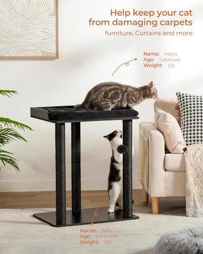 FourFurPets Modern Cat Tree for Large Cats, Full Sisal Cat Scratching Post - color: Black, size: 22"L x 15.7"W x 26.7"H