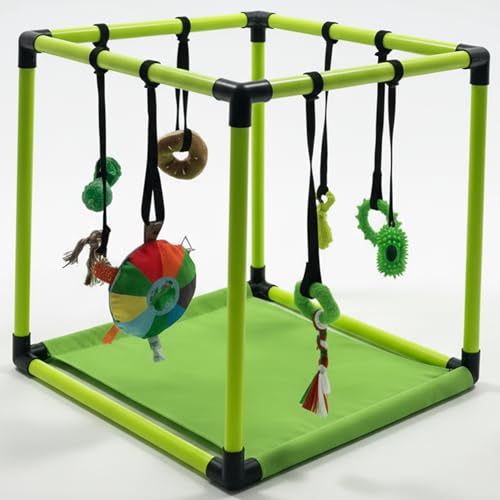 Race&Herd 19.5" Puppy Play Gym — Small Dog Jungle Activity Mat (Lime) - color: Lime