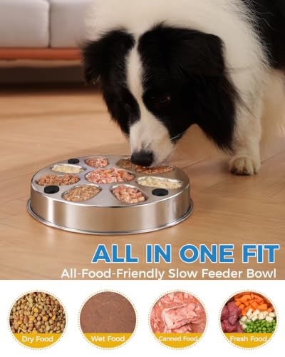 Slow Feeder Dog Bowls with Non-Slip Mat, Stainless Steel Metal Slow Feeder for Small & Medium Dogs, 2 Cups Pet Bowl for Slows Down Eating, Dishwasher Safe, Anti-Gulping Dog Bowl -2 Pack - size: 2 Cup 2 Pack
