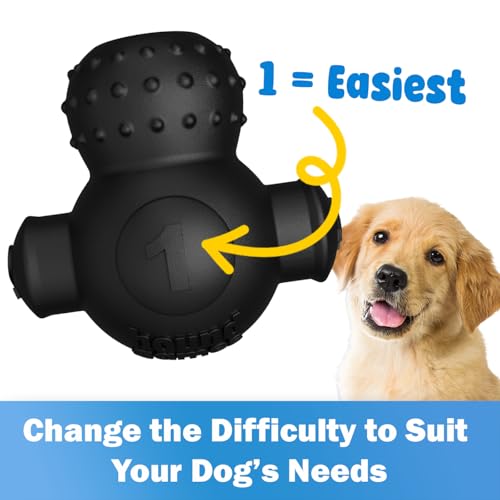 HOUNDGAMES Puppy Puzzle Toys Beginner