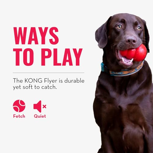 KONG Flyer - Durable Dog Toy for Outdoor Playtime - Natural Rubber Flying Disc, Dog Toy for Fetch - Safer Disc for Healthy Activity - for Small Dogs (Pack of 3) - size: Small (Pack of 3)