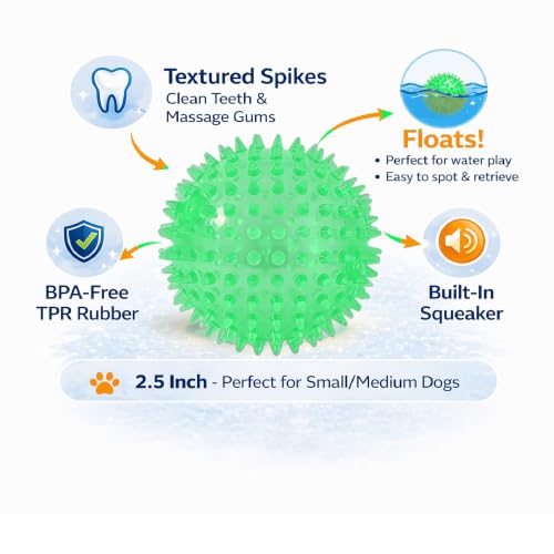 Squeaky Spiky Dog Ball for Teeth Cleaning & Gum Massage 2.5 Inch Small Medium Dogs Green | Spiny TPR Rubber Chew Toy for Fetch Play Interactive Bouncy Dental Ball Durable BPA Free Nontoxic Floats - size: Green Ball 1-Pack