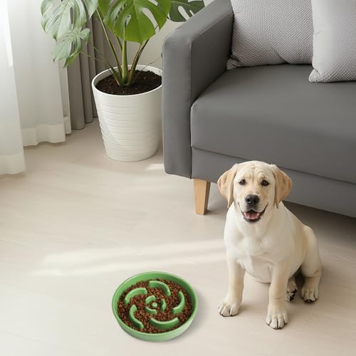 Ceramic Slow Feeder Dog Bowl, 2 Cups Maze Puzzle Dish to Slow Down Eating - color: Flower - Green