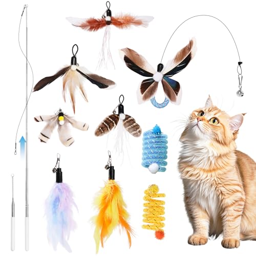 10PCS Interactive Cat Toys Feather Toy for Indoor Cats Kitten Adult