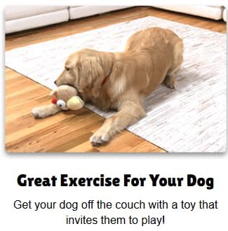 Interactive Dog Toy (Baseball), Motion Activated Bouncing Talking Pet Toy, Exercise and Entertainment for Dogs and Puppies