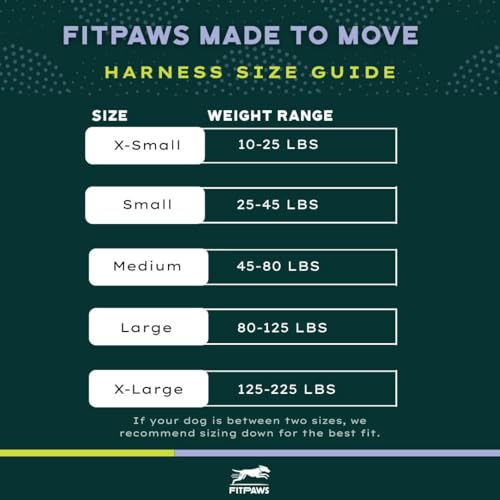 FitPaws® Made to Move® No-Pull Dog Harness, Neck Buckle, Teal, XL - color: Teal, size: XL