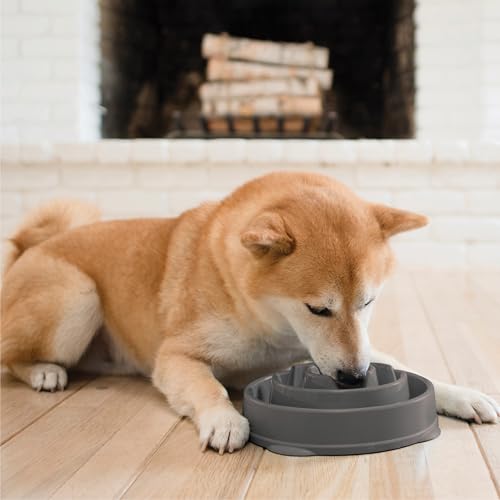 Outward Hound Fun Feeder Slo Bowl Dog Slow Feeder, Drop, Gray, 8.8" - color: Gray, size: Medium