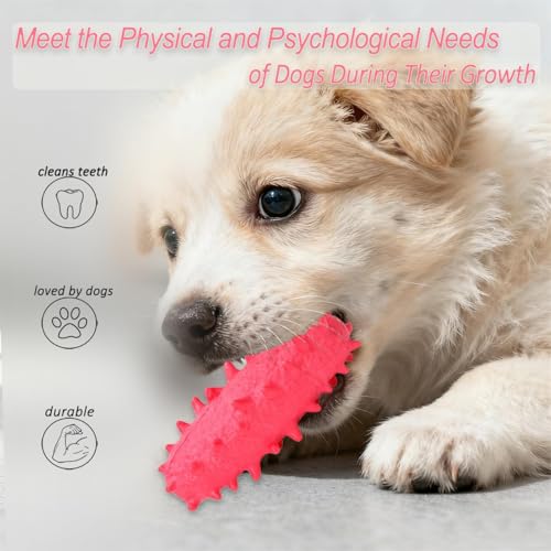 2 Pack Dog Pool Toys, Water Floating Toys for Puppies, Soft Foaming Rubber Toys for Small Medium Breed Dogs, Pink