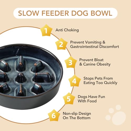 Havniva Raised Slow Feeder Dog Bowls, Elevated Dog Bowls Slow Feeder Set - color: 2 x Starry Sky + Stand - C, size: M- 7.3inch / 1.2 Cups