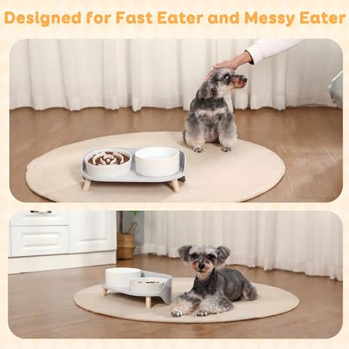 Elevated Slow Feeder Dog Bowls with Splash Proof Stand, Slow Eating 5X - color: White