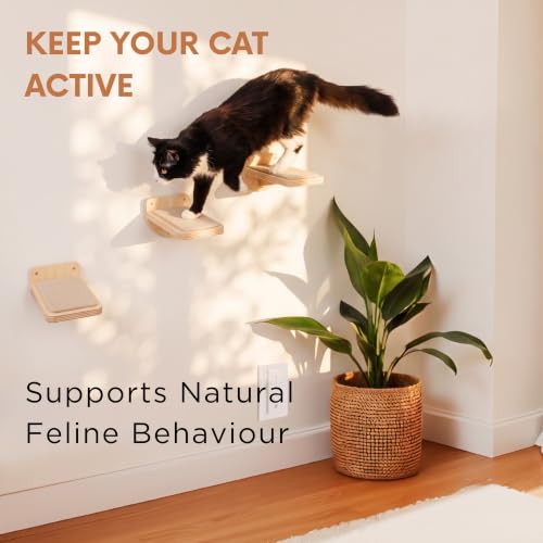 INICIO Cat Wall Steps - 3 Pack of Stairs for Cats to Climb - Natural Wood