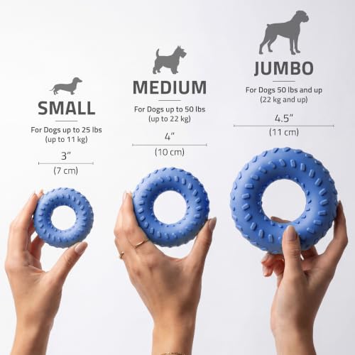 Playology Dual Layer Ring Dog Toy for Aggressive Chewers, Blueberry Scent - size: Jumbo, style: Blueberry