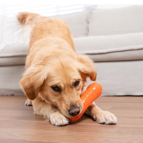 Outward Hound by Planet Dog Foodies Carrot Treat-Dispensing Dog Chew Toy, Orange - color: Carrot