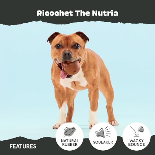 BarkBox Ricochet The Nutria Dog Toy - style: Ricochet The Nutria