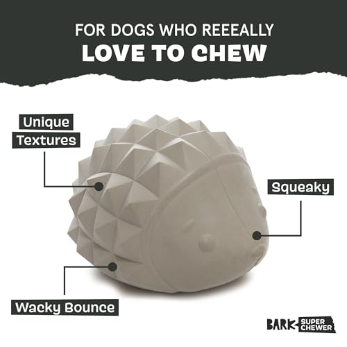 BarkBox Sven the Hedgie Rubber Dog Toy - Toy for Small Dogs - color: Sven the Hedgie - Small