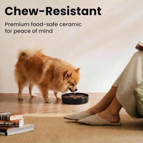 Ceramic Slow Feeder Dog Bowls 0.6 Cups for Small Fast Eaters,White - color: Black, size: S - 0.6 Cups