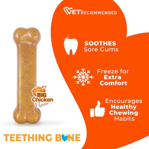 Nylabone Puppy Chew Teething Bone Dog Chew Toy, Chicken Flavor, Small - color: Teething Bone, size: Small