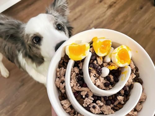 LE TAUCI PET Ceramic Slow Feeder Dog Bowls Elevated, 3 Cups Raised Dog Bowl with Wooden Stand for Medium Large Breed to Slow Down Eating, Puzzle Food Bowl,White - color: White+Stand, size: L-3 Cups