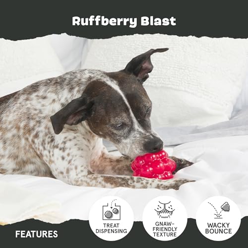 BarkBox Ruffberry Blast Dog Toy - for Small Dogs - style: Ruffberry Blast