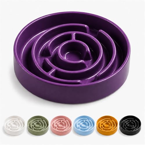 Ceramic Slow Feeder Dog Bowl, 1.5 Cup Puzzle Dish for Small Medium Dogs - color: Ceramic-Purple