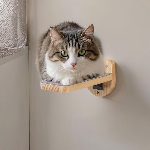 ESPETS Set of 3 Natural Wood Cat Wall Steps Floating Ladder Stairs - color: Burlywood