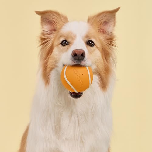 Playology Squeaky Chew Ball Dog Toy - Jumbo, Cheddar Cheese Scent - size: Jumbo, style: Cheddar Cheese