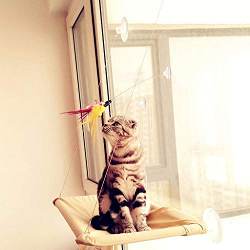 For Interactive For For Teaser Toy With Suction Cup For Kitten For Play