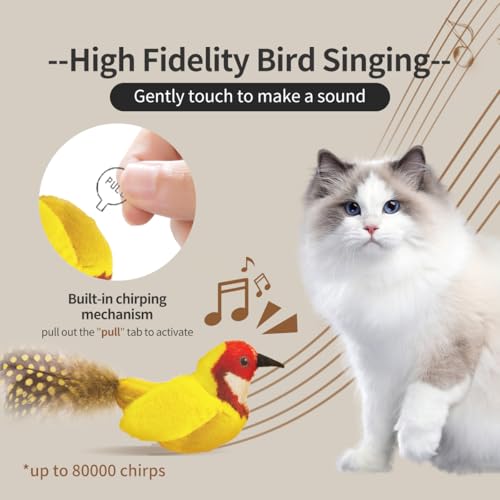 Interactive Cat Toys for Indoor Cats,Catnip and Feather,2Pcs - style: 2 Pack birds