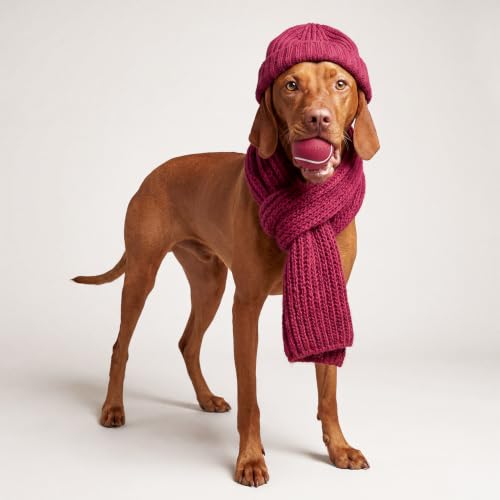 Playology Squeaky Chew Ball Dog Toy - Medium, Cranberry Scent - size: Medium, style: Cranberry