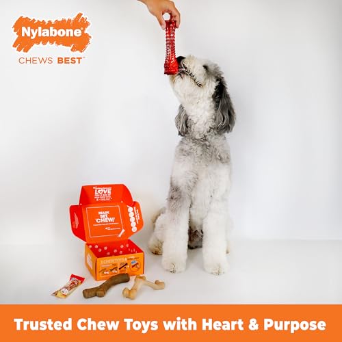 Nylabone Dog Gift Box, Strong Chew Toys & Treat, Large, 4 Count - size: Large (4 Count)