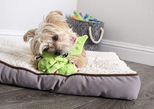 goDog Bubble Plush Dragons Squeaky Dog Toy, Chew Guard Technology - Bright Green, Small - color: Bright Green, size: Small