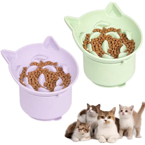 2 Pack Silicone Cat Slow Feeder,Tilted Design with Non Slip Base