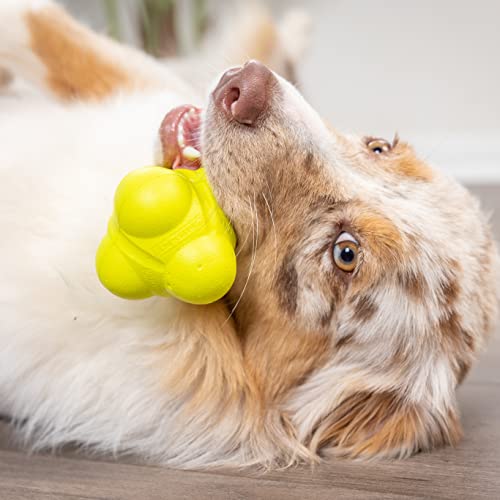 Hyper Pet Fetching Dog Toys - Throwing Bumpy Ball Dog Toy Made with EVA Foam - Lightweight & Floats on Water - size: One Size, style: Bumpy Ball