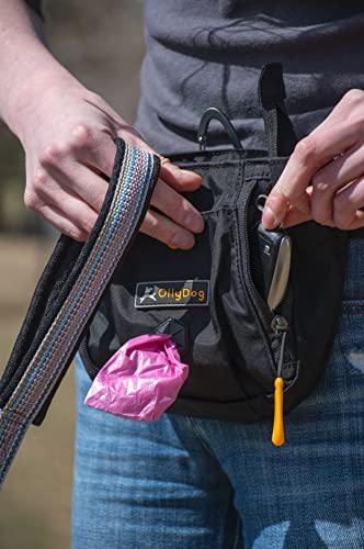OllyDog Backcountry Day Bag, Fanny Pack, Dog Treat Pouch, Hands-Free for Training, Hip Pack with Built-in Poop Bag Dispenser, Removable Waist Belt Clip (Atlantic) - color: Atlantic