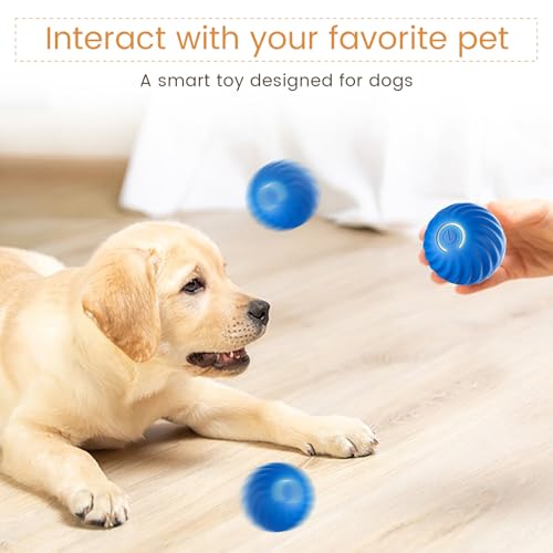 Interactive Dog Toys,Durable Active Wicked Ball,Automatic Moving Bouncing Rotating Ball for Puppy/Small/Medium Dogs,USB Rechargeable,Fun and Engaging Gift,Blue