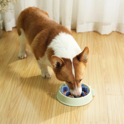 Soft Silicone Anti-Choking Puzzle Slow Feeder Insert, Compatible with Regular Elevated Dog Bowls No-Spill Design to Slow Down Eating - color: Blue, size: Medium