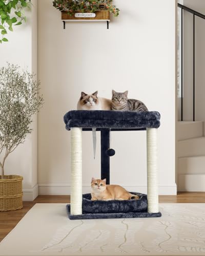 SYANDLVY Small Cat Tree for Indoor Cats with 2 Levels Perch Platforms - color: Smoky