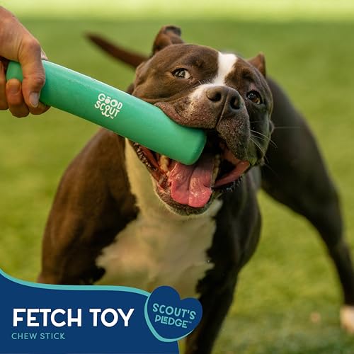 Good Scout Chew Stick - Aggressive Chew Toy for Puppies & Adult Dogs, No Stuffing for Medium & Large Dogs - style: Chew Stick